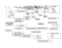 Konspekts 'Uzmanība - domu karte', 1.