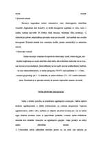 Referāts 'Naftas pārstrāde', 6.