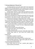 Referāts 'Liepājas tramvajs', 16.