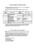 Konspekts 'Ekonomikas pamatbūtība', 8.