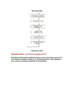 Konspekts 'Ekonomikas pamatbūtība', 9.