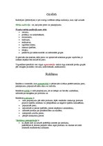 Konspekts 'Ekonomikas pamatbūtība', 16.