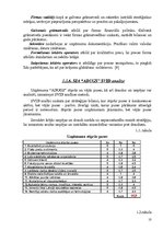 Referāts 'Uzņēmuma SIA "Adugs" vadīšana mainīgas ārējās vides apstākļos', 10.