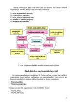 Referāts 'Uzņēmuma SIA "Adugs" vadīšana mainīgas ārējās vides apstākļos', 15.