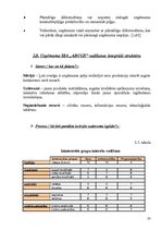 Referāts 'Uzņēmuma SIA "Adugs" vadīšana mainīgas ārējās vides apstākļos', 33.