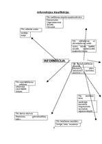 Referāts 'Informācija', 3.