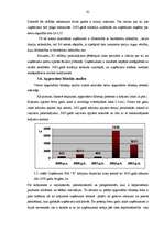 Diplomdarbs 'Uzņēmuma SIA "X" finanšu darbības analīze un pilnveidošanas iespējas', 61.