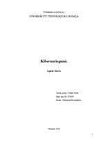 Referāts 'Kibernoziegumi', 11.