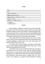 Referāts 'Kibernoziegumi', 12.