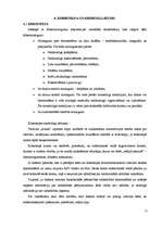 Referāts 'Kibernoziegumi', 21.