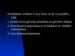 Prezentācija 'Musulmaņu un rietumu laulības', 28.
