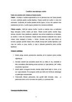 Prezentācija 'Musulmaņu un rietumu laulības', 37.