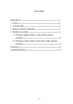 Referāts 'Televīzijas ietekme uz pirmsskolas vecuma bērnu psihi', 2.