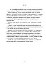 Referāts 'Televīzijas ietekme uz pirmsskolas vecuma bērnu psihi', 4.