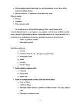 Referāts 'Televīzijas ietekme uz pirmsskolas vecuma bērnu psihi', 7.