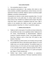 Eseja 'Biznesa plāns uzņēmumam ZS "Zivtiņa"', 2.