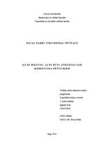 Eseja 'Kā es rīkotos, ja es būtu atbildīga par mārketinga pētījumiem', 1.