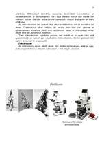 Referāts 'Mikroskops', 12.