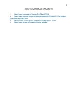 Referāts 'Eiropas Savienības budžeta politikas realizācija Latvijas muitas dienesta darbīb', 16.