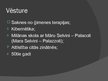 Prezentācija 'Ģimenes psiholoģija - sistēmiskā pieeja', 3.