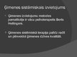 Prezentācija 'Ģimenes psiholoģija - sistēmiskā pieeja', 10.