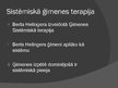 Prezentācija 'Ģimenes psiholoģija - sistēmiskā pieeja', 12.