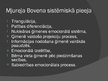 Prezentācija 'Ģimenes psiholoģija - sistēmiskā pieeja', 13.