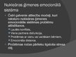 Prezentācija 'Ģimenes psiholoģija - sistēmiskā pieeja', 16.