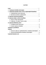 Biznesa plāns 'Biznesa plāns - apraksts', 1.