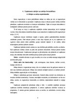 Biznesa plāns 'Biznesa plāns - apraksts', 8.