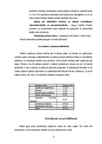 Biznesa plāns 'Biznesa plāns - apraksts', 12.