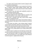 Biznesa plāns 'Biznesa plāns - apraksts', 13.