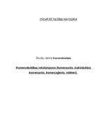 Referāts 'Komercdarbības raksturojums', 1.