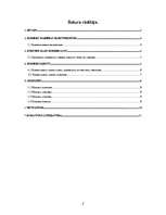 Referāts 'Komercdarbības raksturojums', 2.