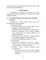 Referāts 'Komercdarbības raksturojums', 6.