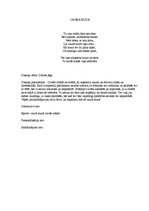 Konspekts 'Raiņa dzejoļu analīze', 7.