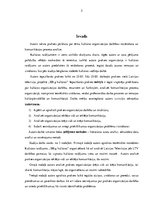 Prakses atskaite 'Prakse raidījumā "100g kultūras"', 3.