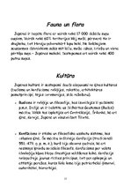 Referāts 'Viss par Japānu', 12.