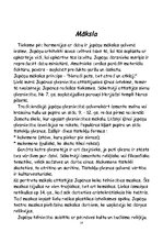 Referāts 'Viss par Japānu', 14.