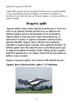 Referāts 'Viss par Japānu', 35.