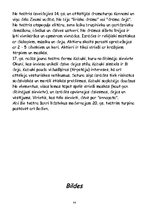 Referāts 'Viss par Japānu', 46.
