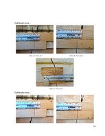 Referāts 'Kursa darbs priekšmetā “Būvju apsekošana un pārbaude: Būves konstrukciju plaisu ', 14.