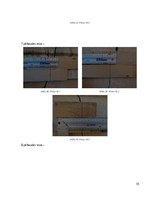 Referāts 'Kursa darbs priekšmetā “Būvju apsekošana un pārbaude: Būves konstrukciju plaisu ', 16.