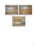 Referāts 'Kursa darbs priekšmetā “Būvju apsekošana un pārbaude: Būves konstrukciju plaisu ', 17.