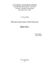 Referāts 'Ielas apraksts', 1.