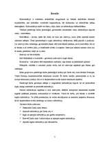 Referāts 'Ielas apraksts', 3.