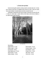 Referāts 'Ielas apraksts', 4.