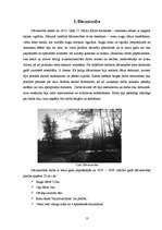 Referāts 'Ielas apraksts', 13.