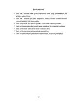 Referāts 'Ielas apraksts', 16.