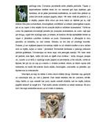 Eseja 'Kā es varu palīdzēt?', 2.